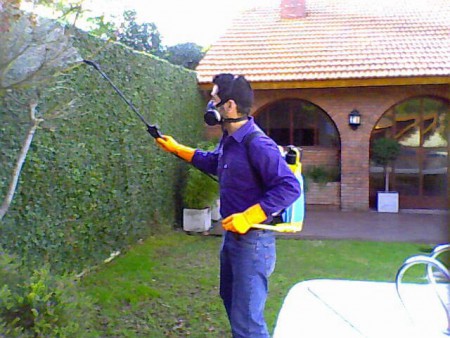tu jardin libre de mosquitos
