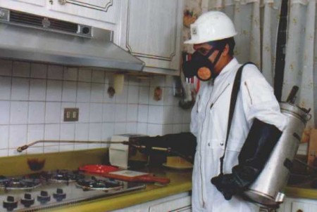 Fumigamos toda tu cocina y elimina la horrendas cucarachas