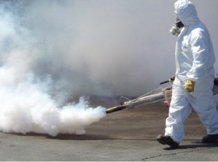 Eliminamos los molestos mosquitos que invaden nuestro patio, jardín  o negocio.